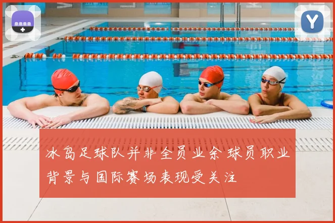 冰岛足球队并非全员业余 球员职业背景与国际赛场表现受关注