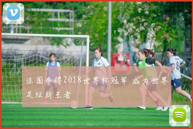 法国夺得2018世界杯冠军 成为世界足坛新王者