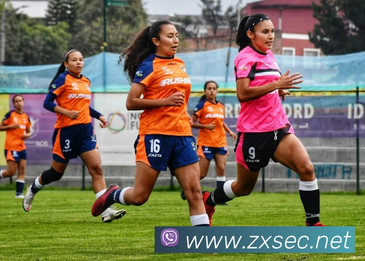 开云手机入口登录官网APP 封面图